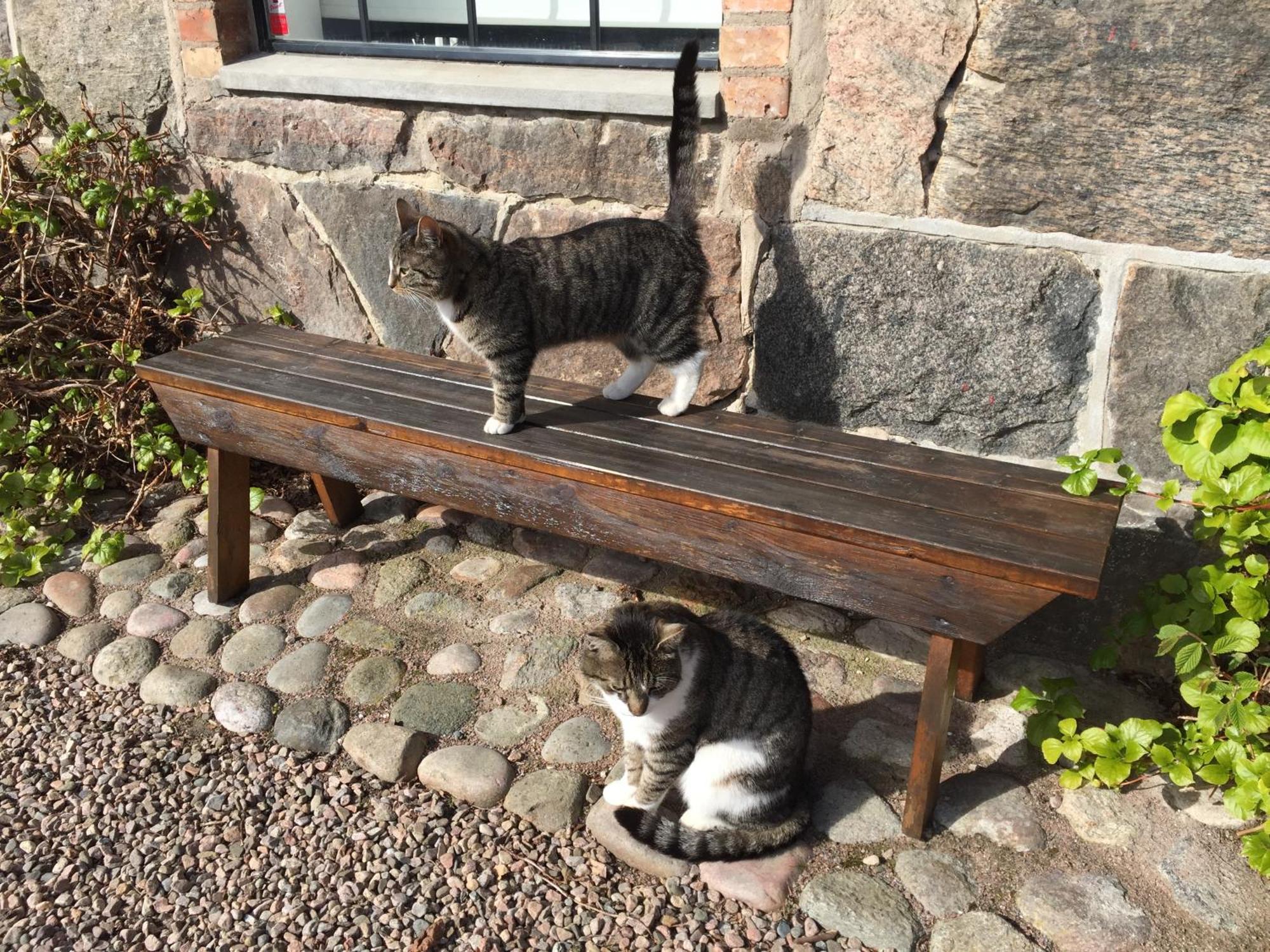 Lyckas Gards Gaestboende Höganäs Esterno foto