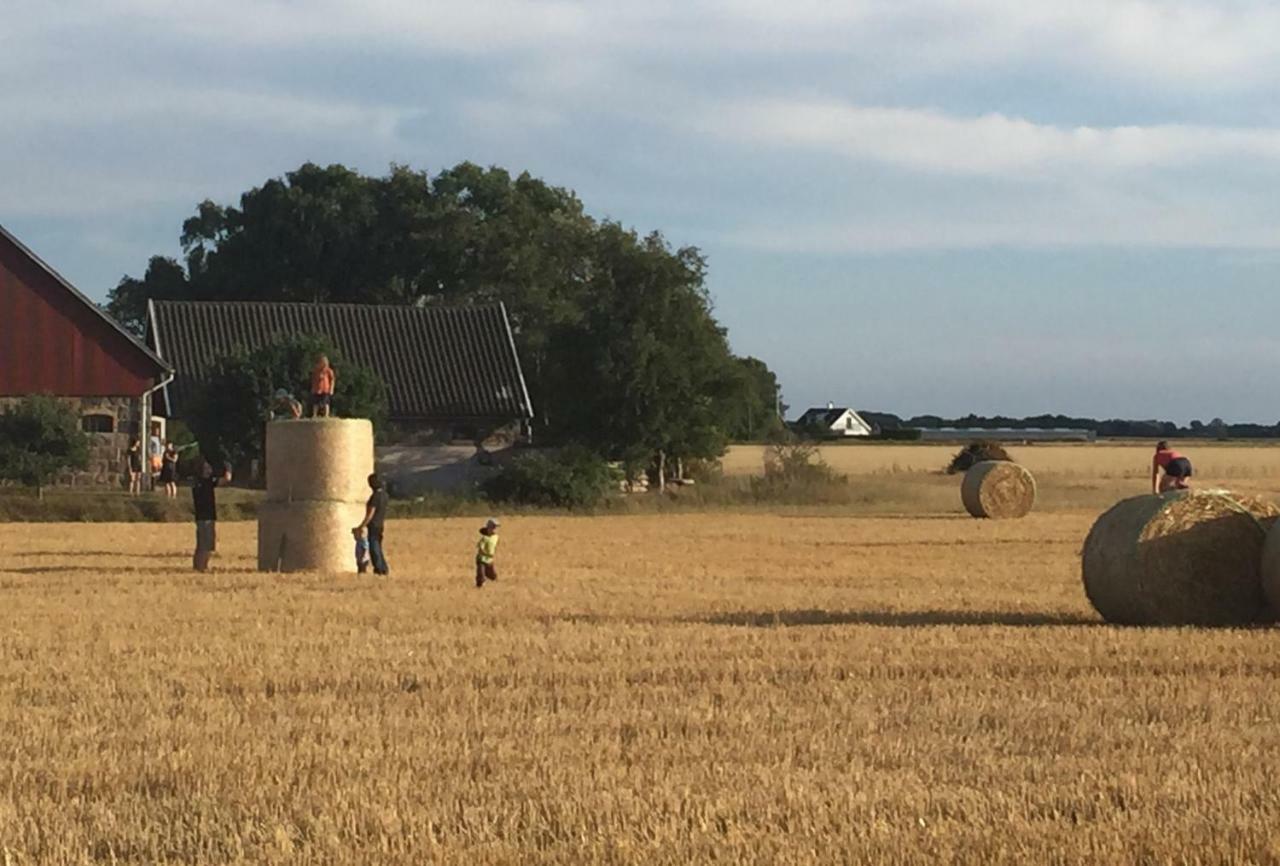 Lyckas Gards Gaestboende Höganäs Esterno foto